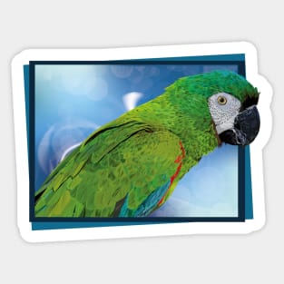 severe macaw Sticker